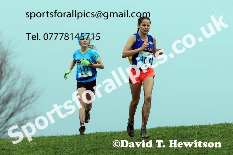Girls under-13s 2023 North Eastern Cross Country Champs., Temple Park, South Shields. Photo: David T. Hewitson/Sports for All Pics